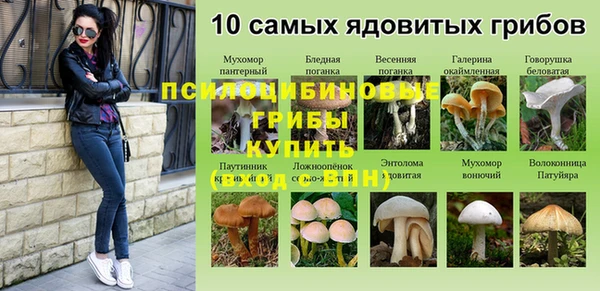 прущая мука Карпинск