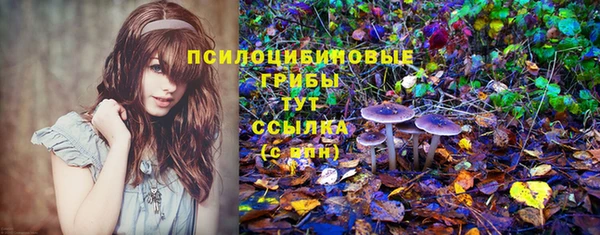 прущая мука Карпинск