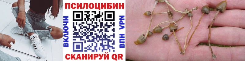 Псилоцибиновые грибы мицелий Кингисепп