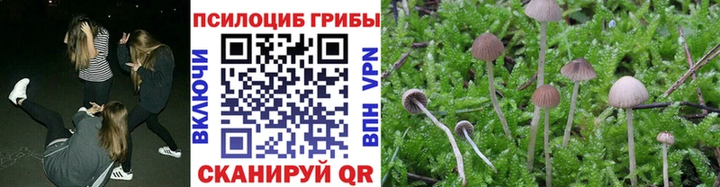 Купить  Кингисепп  Псилоцибиновые грибы мухоморы 